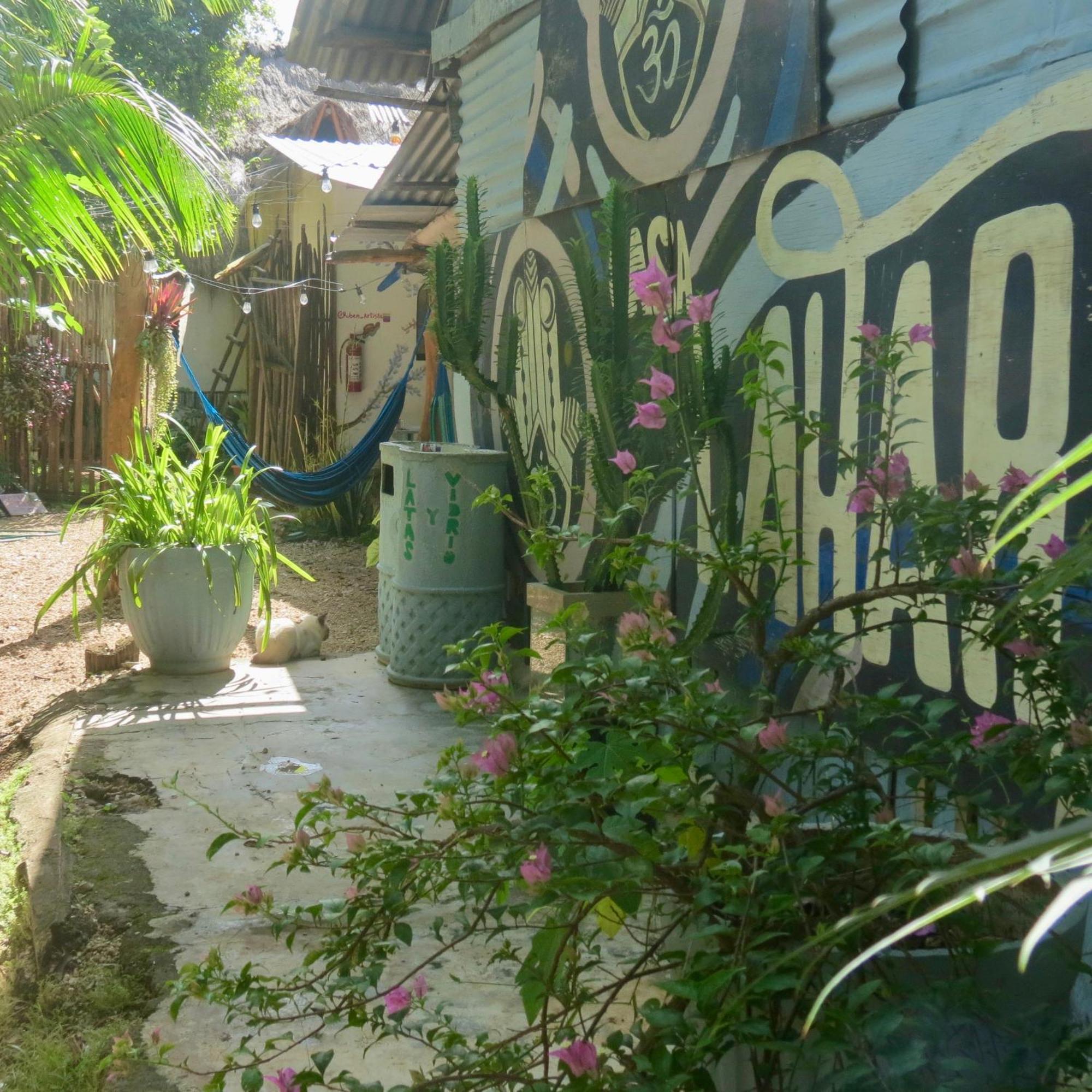 Hostel Hostalito Lahar *