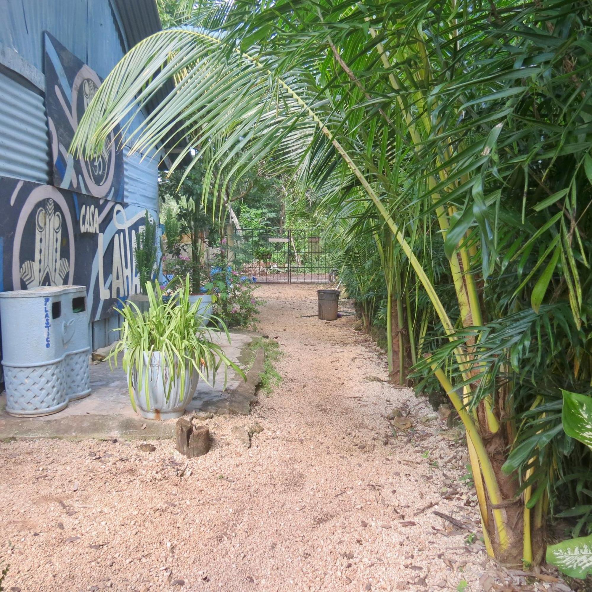 Hostel Hostalito Lahar Bacalar